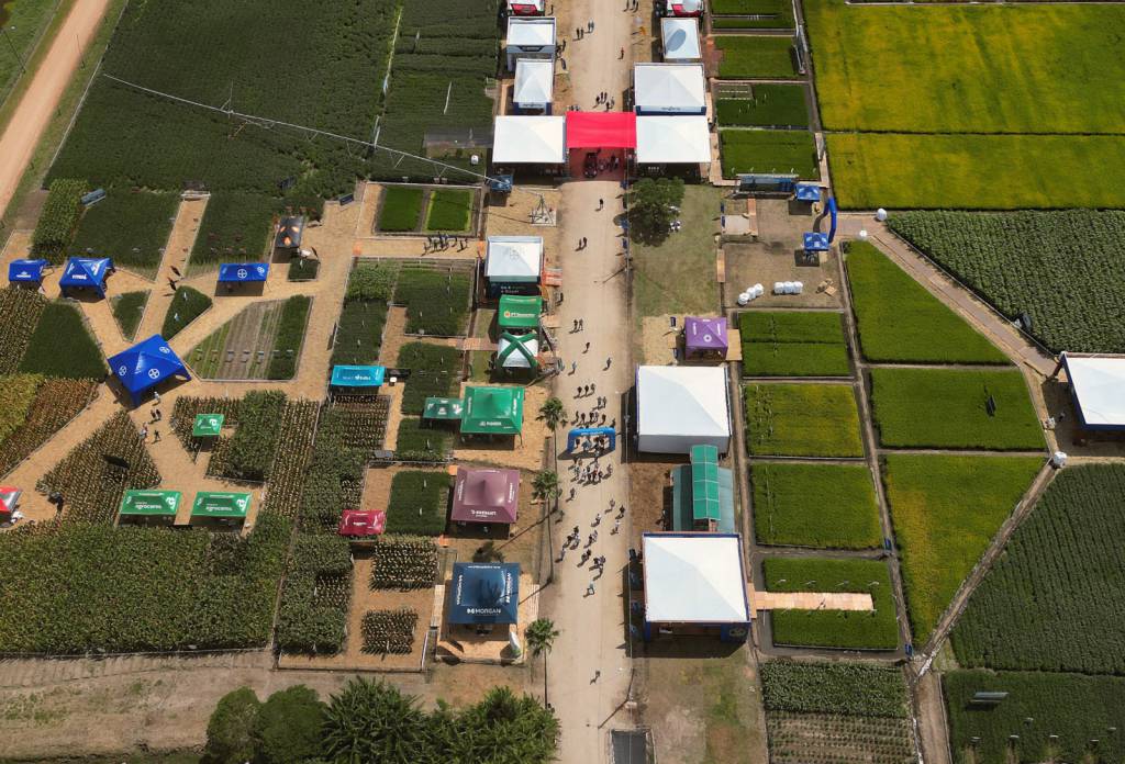 Vitrines tecnológicas apresentam soluções práticas para o sistema produtivo arrozeiro