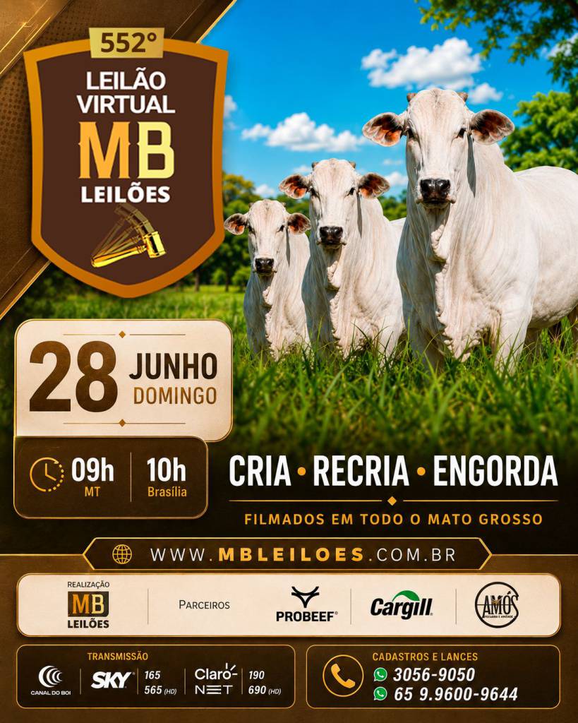 552º Leilão Virtual MB Leilões oferta animais para cria, recria e engorda neste domingo