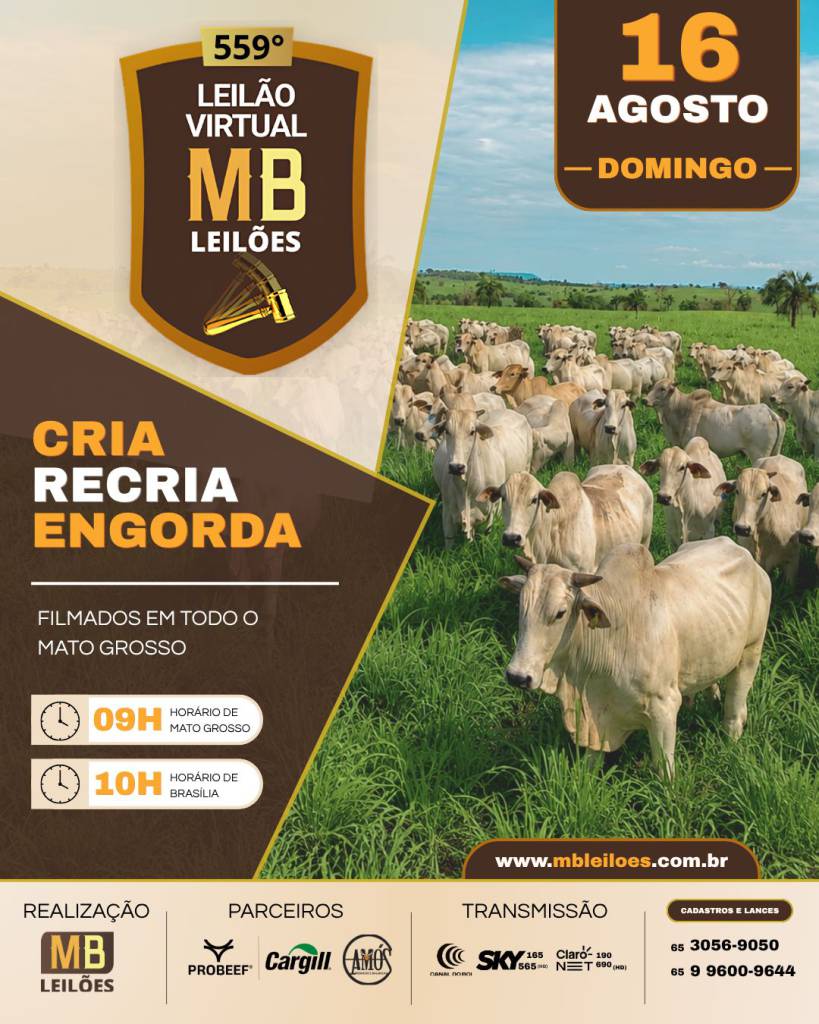 MB Leilões realiza seu 559º leilão neste domingo no Canal do Boi