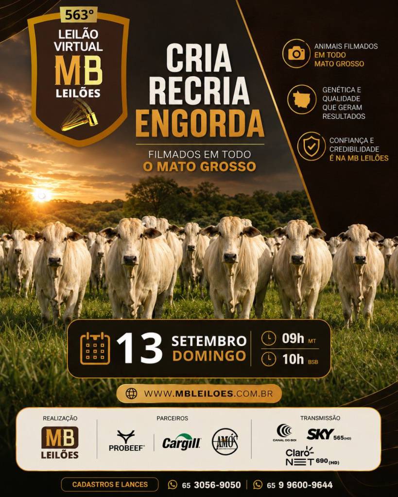 MB Leilões oferta animais para cria, recria e engorda neste domingo no Canal do Boi