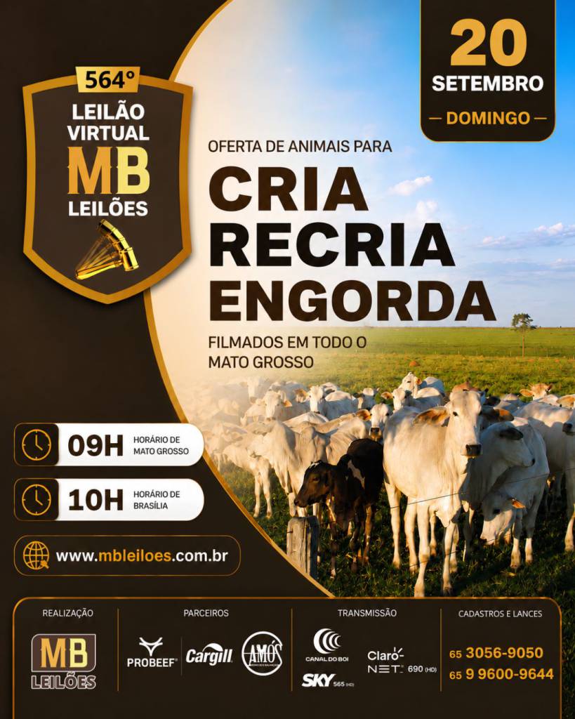 MB Leilões oferta animais para cria, recria e engorda neste domingo no Canal do Boi