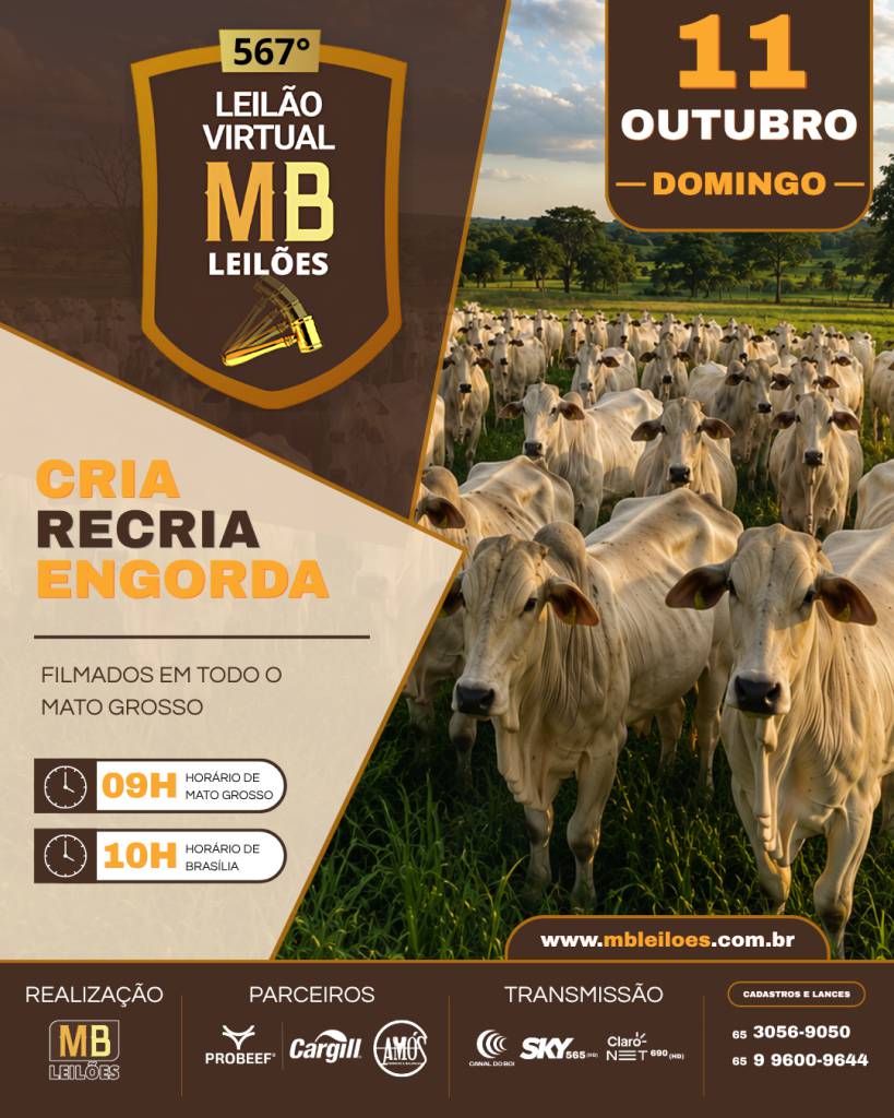 MB Leilões oferta animais para cria, recria e engorda neste domingo no Canal do Boi