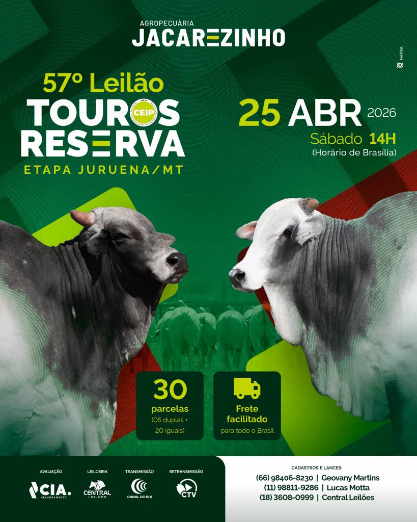 57º Leilão de Touros Reserva Jacarezinho MT hoje às 14h no Canal do Boi