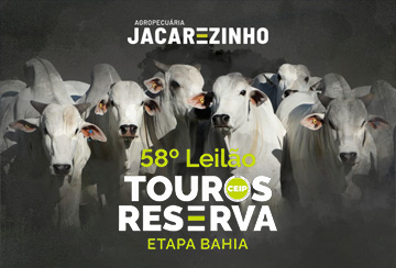 Canal do Boi transmite neste sábado o 58º Leilão Touros Reserva Agropecuária Jacarezinho