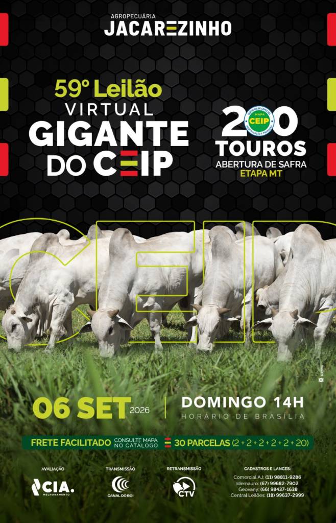 59º Leilão Virtual Gigante do Ceip Agropecuária Jacarezinho hoje às 14h no Canal do Boi