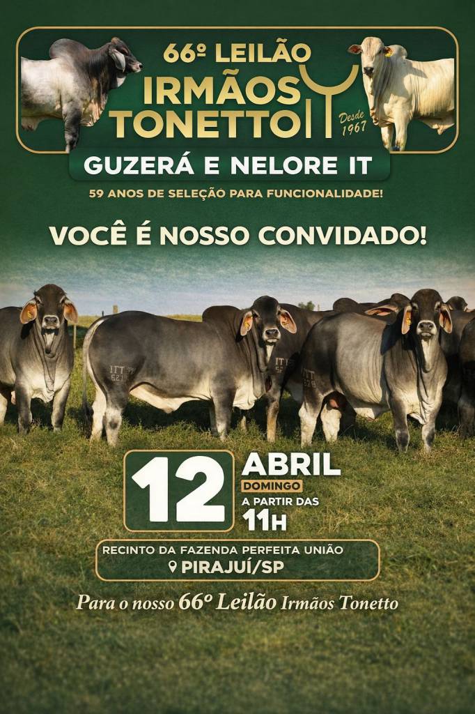 66º Leilão Irmãos Tonetto neste domingo às 11h no Agro Canal