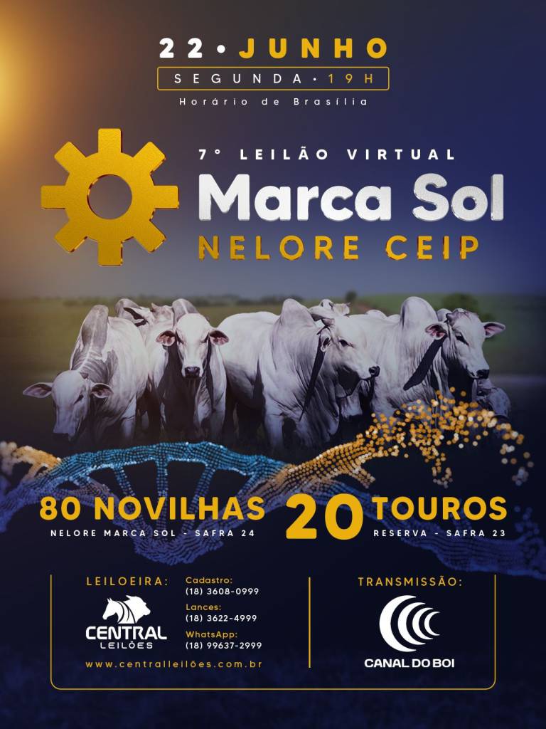7º Leilão Virtual Marca Sol Nelore CEIP acontece nesta segunda-feira às 19h no Canal do Boi