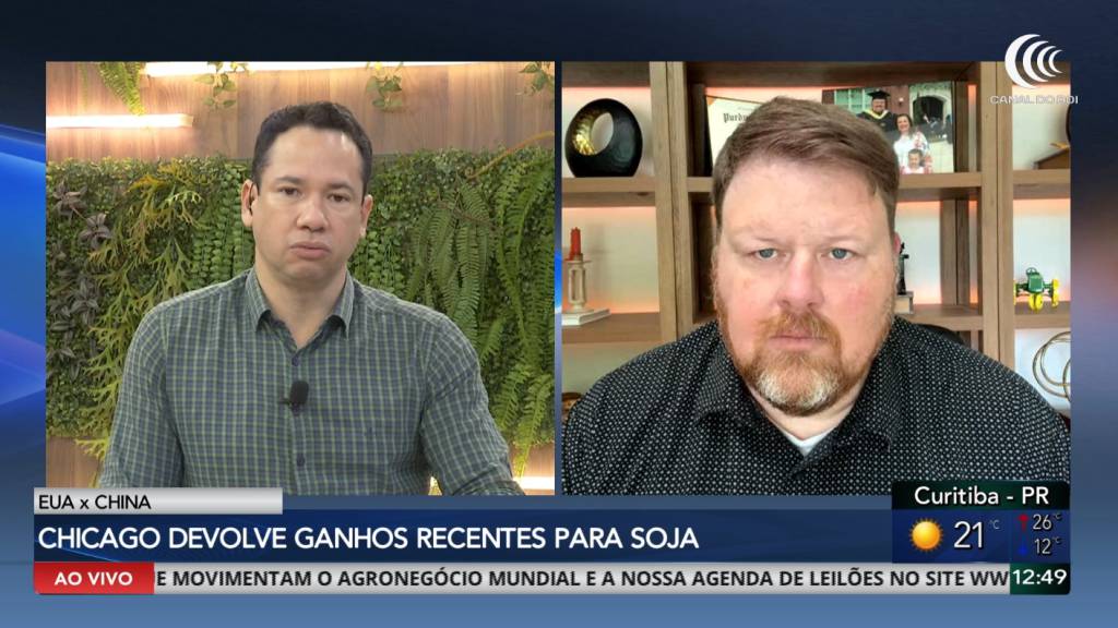 Soja brasileira sente pressão da queda em Chicago