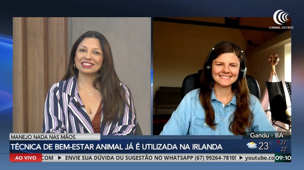 Manejo 'Nada nas Mãos' traz bem-estar aos animais e aumenta a produtividade da pecuária