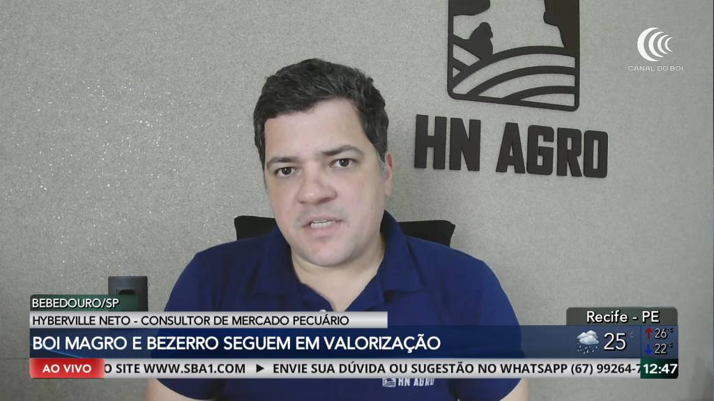 Oferta enxuta de animais e alta na B3 mantêm boi gordo valorizado em agosto