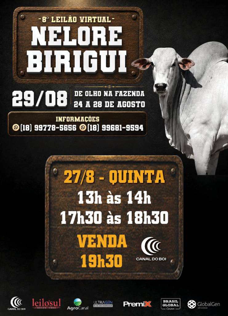 8º De Olho na Fazenda Nelore Birigui vende reprodutores selecionados a preço fixo no Canal do Boi