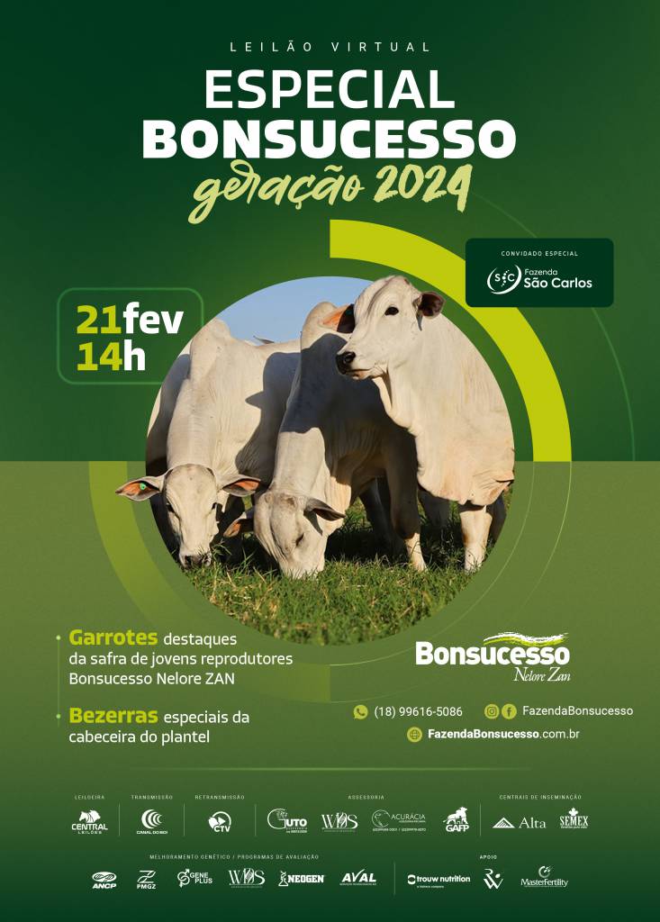 Leilão Virtual Especial Bonsucesso Geração 2024 oferta garrotes destaque e bezerras especiais neste sábado no Canal do Boi