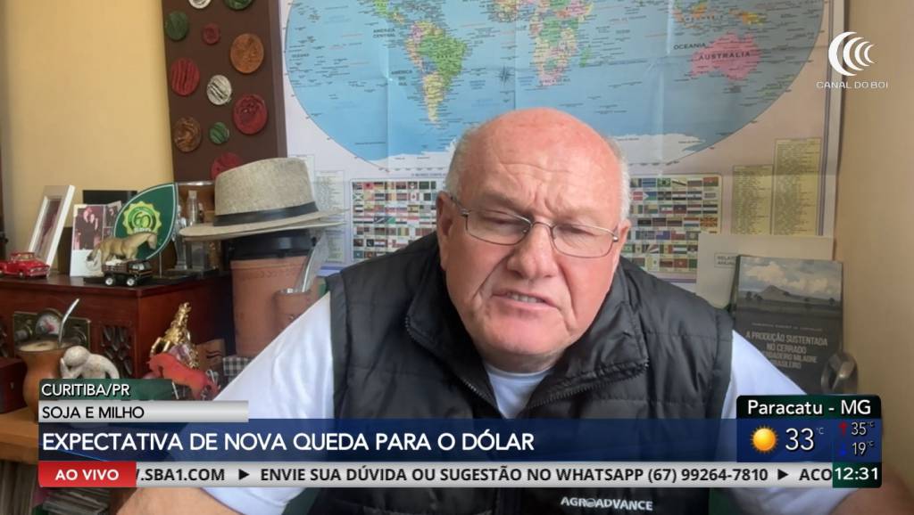 Dólar com possível queda após eleições pode pressionar as cotações e influenciar a comercialização dos grãos