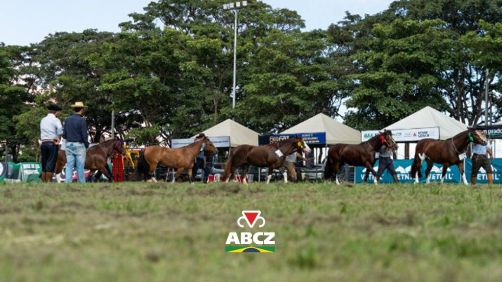 Passaporte de Outono do Cavalo Crioulo movimenta a 91ª ExpoZebu 