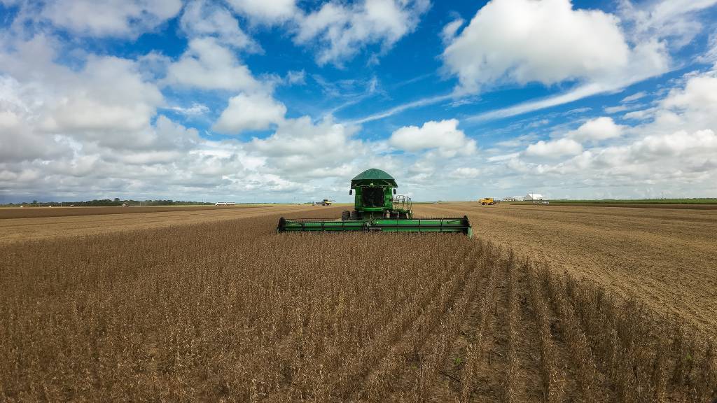 Agro impulsiona Mato Grosso à liderança da balança comercial brasileira no 1º quadrimestre, revela Imea