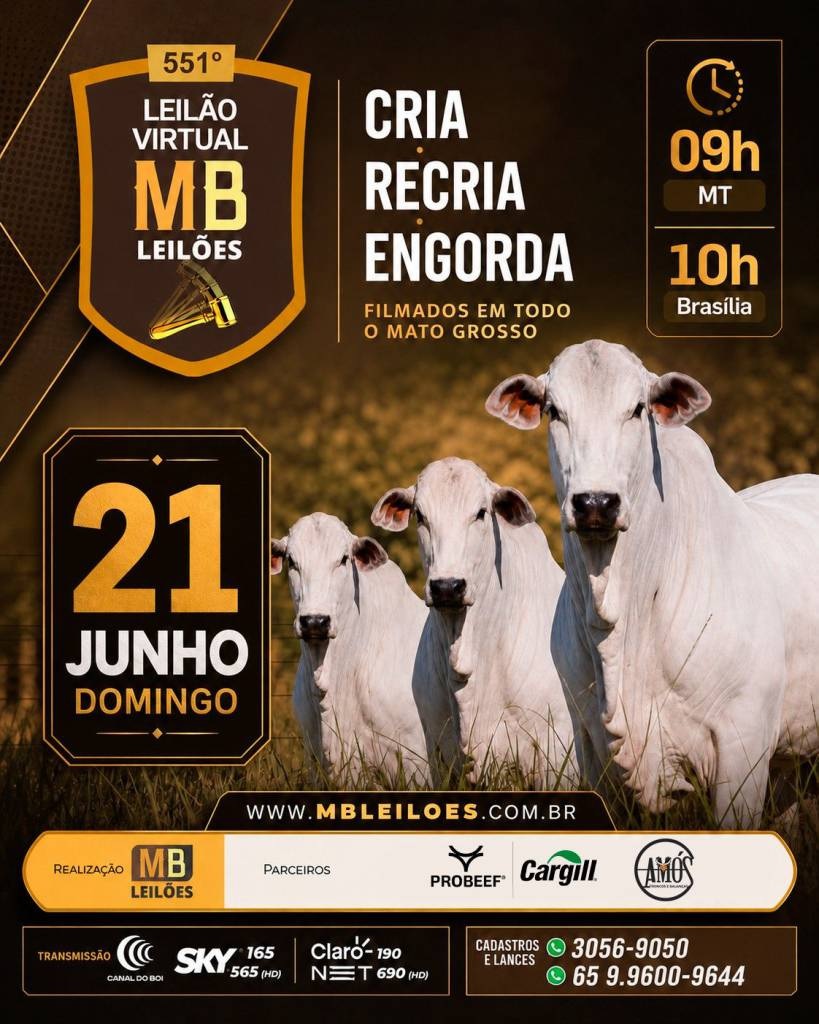 MB Leilões oferta animais para cria, recria e engorda neste domingo no Canal do Boi e AgroCanal