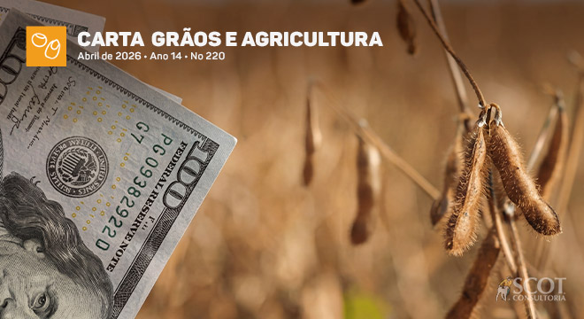 Carta Grãos e Agricultura - Menos milho, mais soja: a intenção do produtor norte-americano