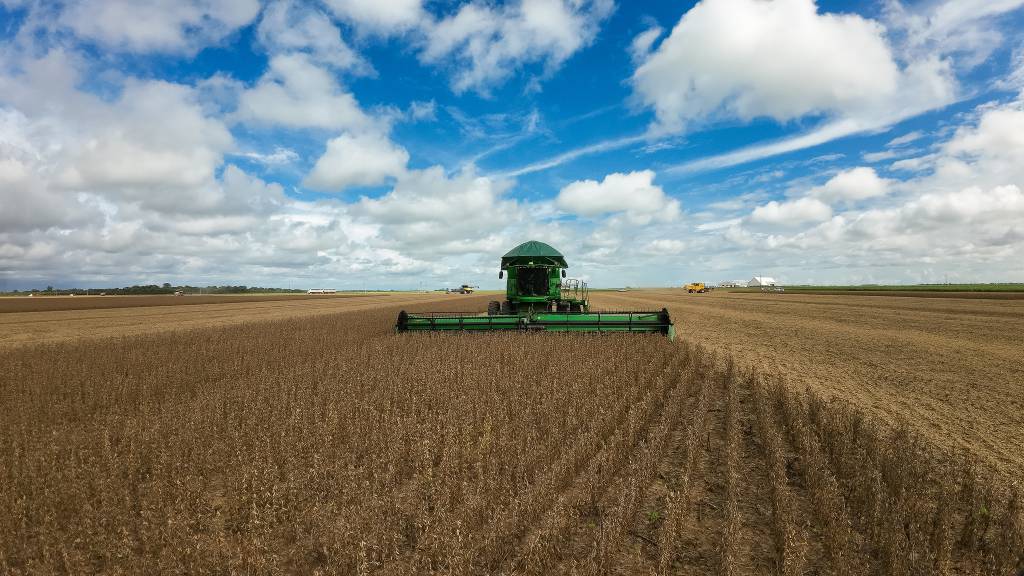 Produtividade da soja em MT sobe 7% e Imea projeta safra 25/26 acima de 50 milhões de toneladas