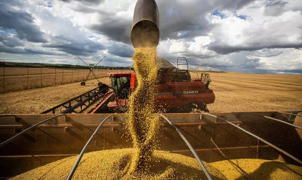 Soja ganha ritmo de comercialização enquanto mercado monitora crédito rural e demanda chinesa