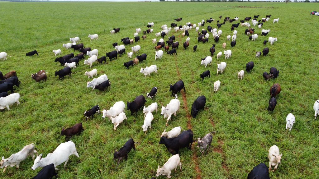 CNA: valor bruto da produção agropecuária deve recuar 4,6% em 2026, a R$ 1,4 tri