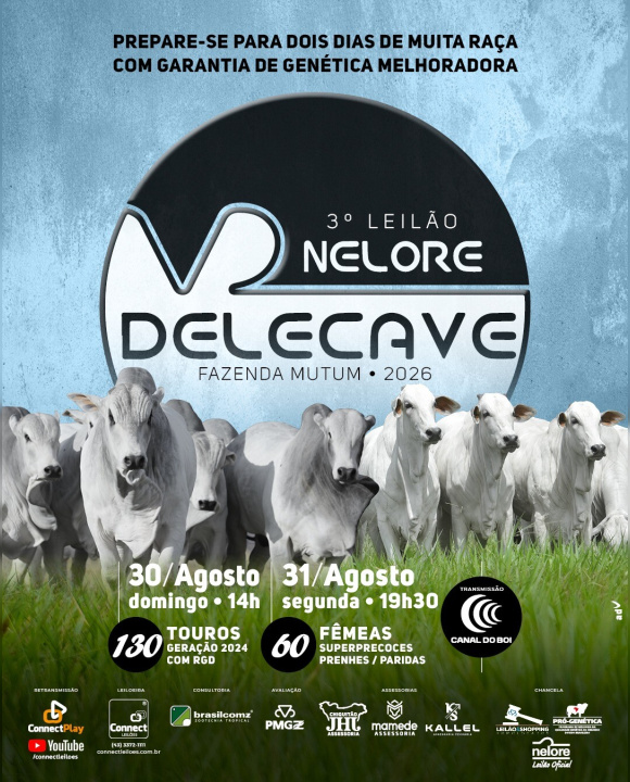 3º Leilão Nelore Delecave oferta touros selecionados hoje às 14h no Canal do Boi