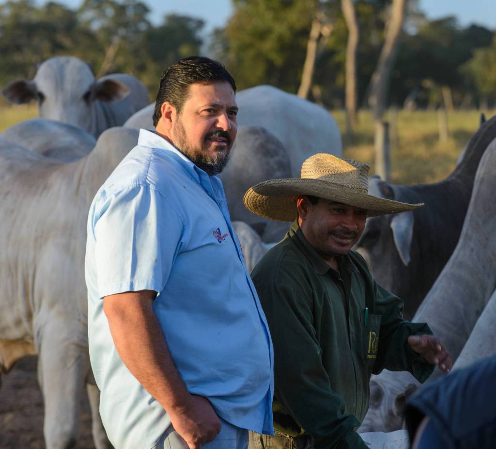 Pioneirismo da Fazenda Modelo é destaque na produção pecuária de Mato Grosso do Sul