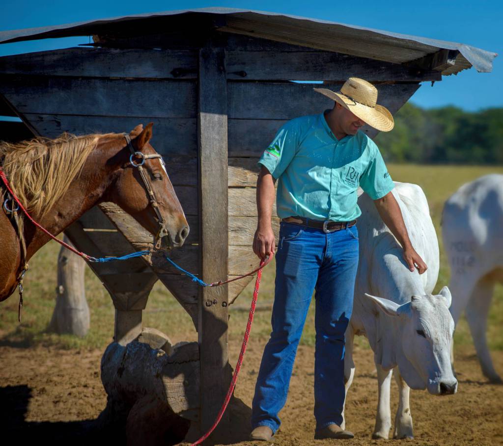 Investir em gestão é essencial para garantir rentabilidade da fazenda