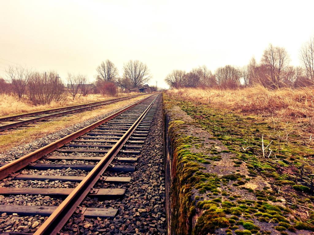 STF valida lei que abre espaço para Ferrogrão