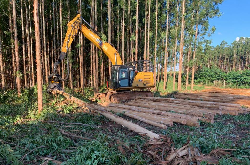  MS Florestal mantém vagas abertas para mecânicos e operadores em Água Clara (MS)