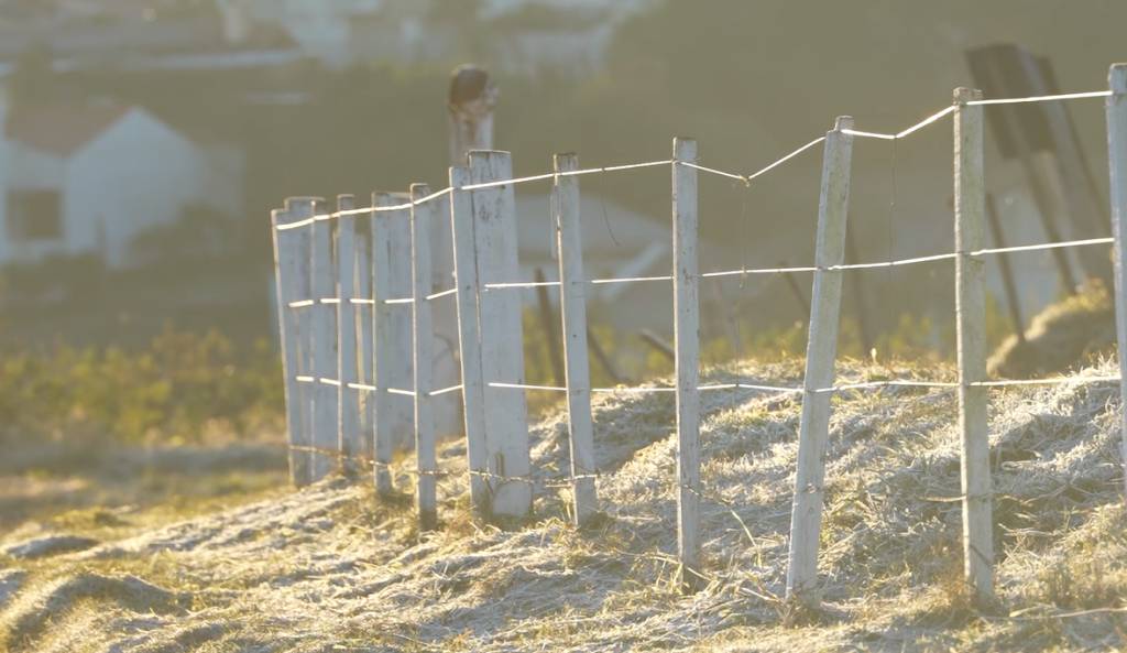 Quarta-feira com baixas temperaturas no Sul e Sudeste do Brasil