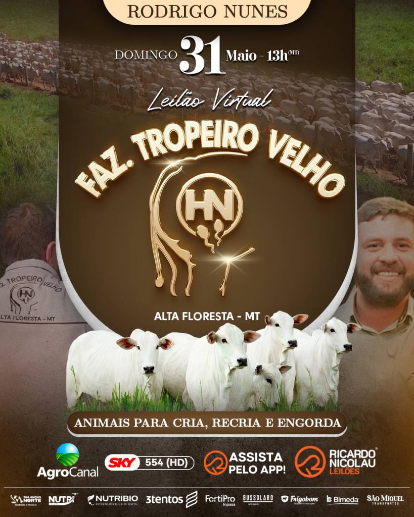 Leilão Virtual Fazenda Tropeiro Velho hoje às 14h no AgroCanal