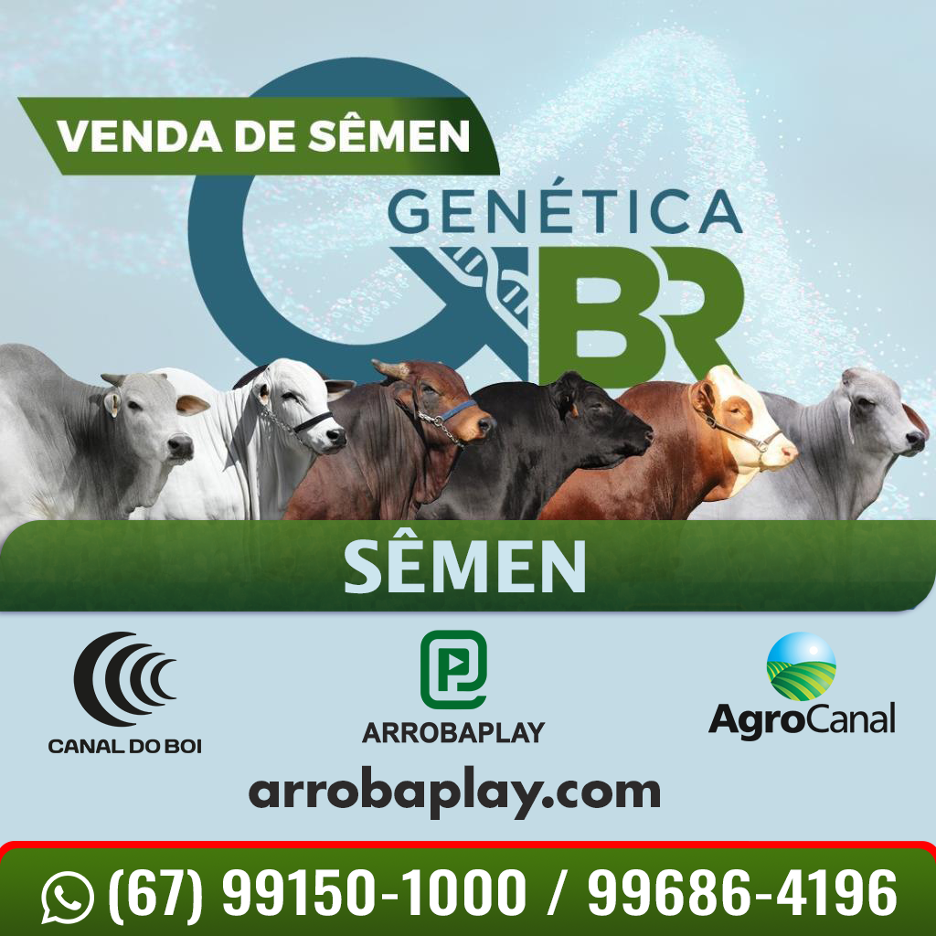Canal do Boi transmite hoje às 20h venda especial de sêmen do Genética BR