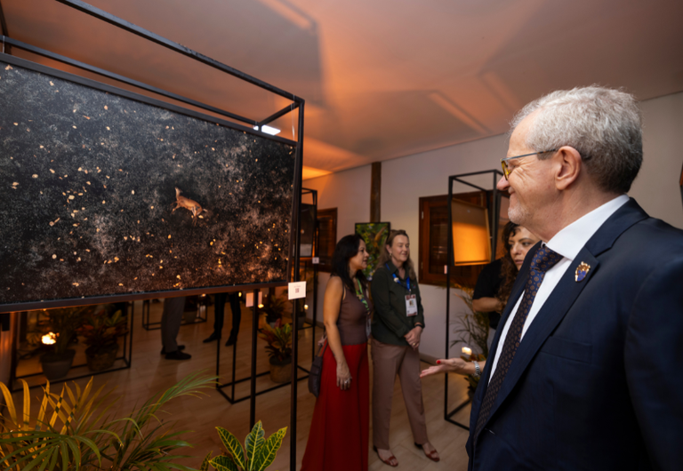 Conexão sem Fronteiras: Brasil debate estratégias de conservação do tubarão-azul e proteção de berçários marinhos na COP15