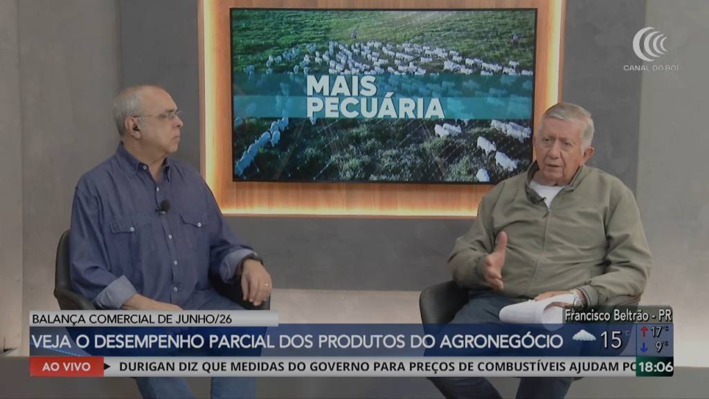  Média diária de carne bovina exportada em junho/26 é maior que junho/25