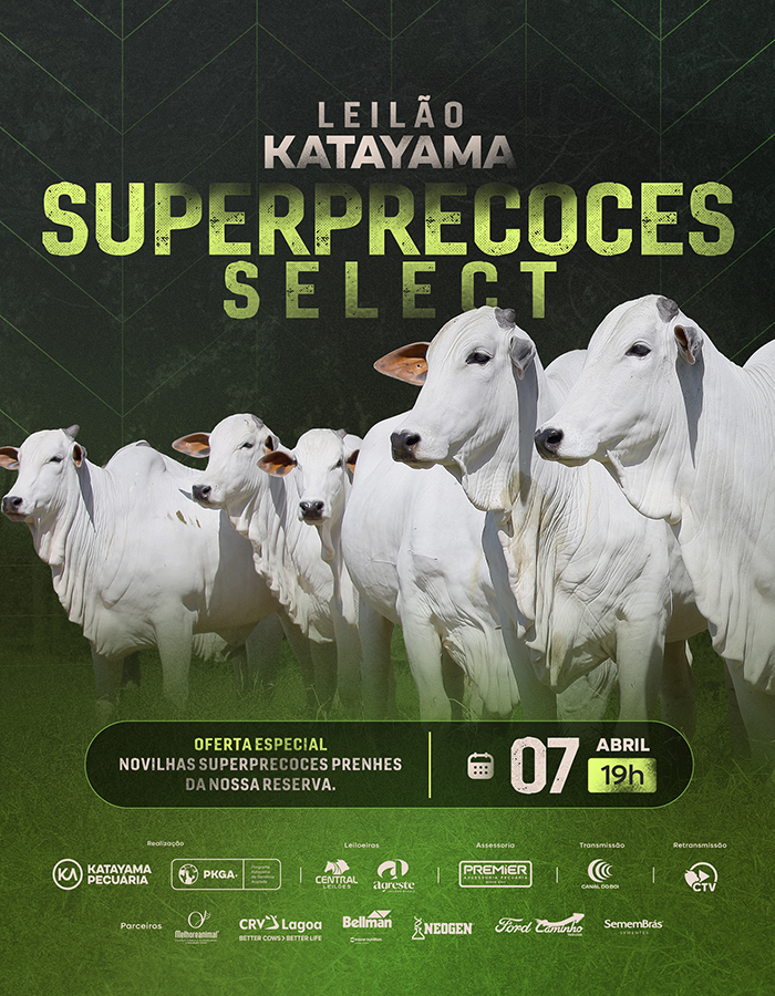 Leilão Katayama Super Precoces Select hoje às 19h no Canal do Boi