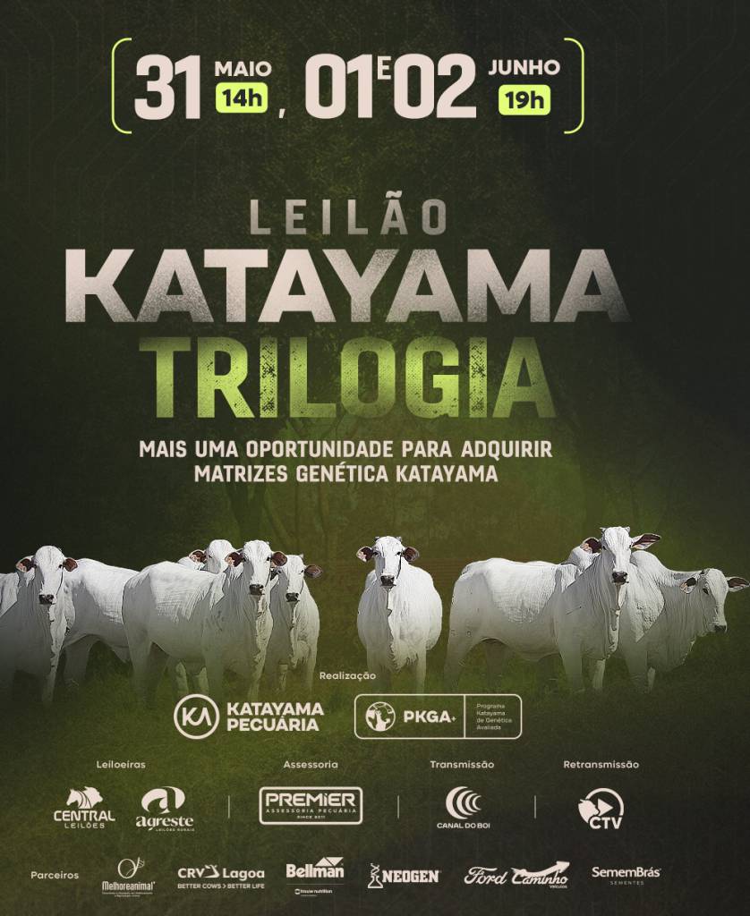 Katayama Trilogia oferta matrizes nelore PO hoje no Canal do Boi