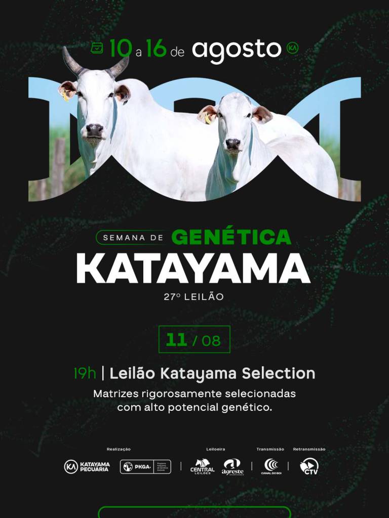 27º Leilão Katayama Selection oferta matrizes com alto potencial genético hoje às 19h no Canal do Boi