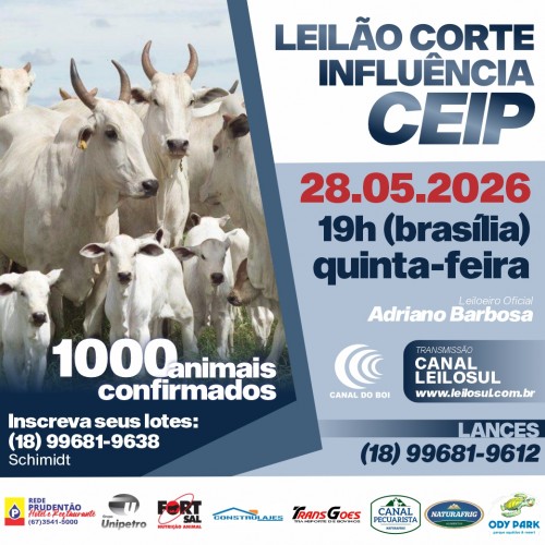 Leilão Corte Influência Ceip hoje às 19h no Canal do Boi    