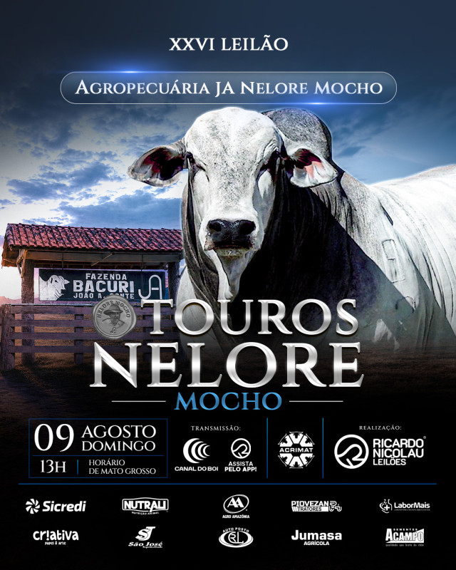 Agropecuária JA Nelore Mocho oferta touros selecionados neste domingo às 14h no Canal do Boi