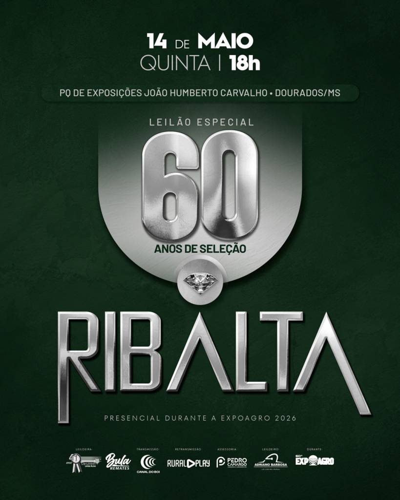 Leilão Especial 60 Anos Seleção Ribalta oferta 80 touros destaque da safra hoje no Canal do Boi