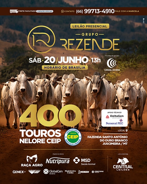 Leilão Grupo Rezende oferta 400 touros Nelore CEIP neste sábado em Juscimeira (MT)