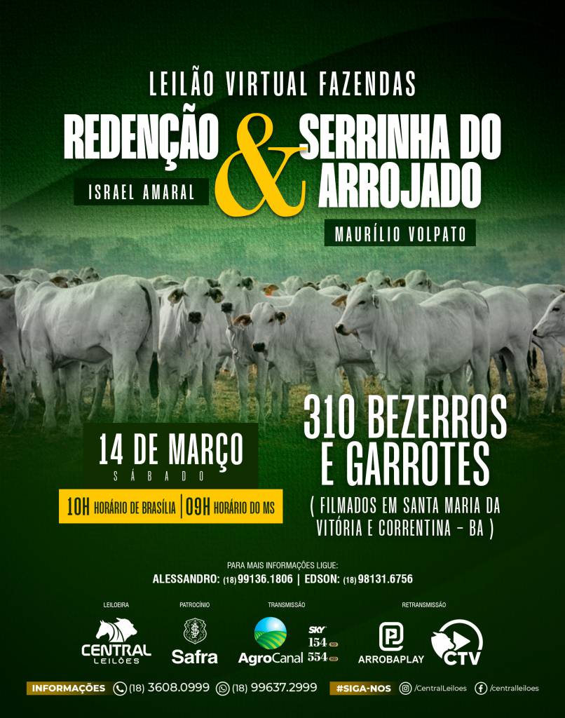Leilão Virtual Fazendas Redenção & Serrinha do Arrojado oferta animais de corte da Bahia neste sábado