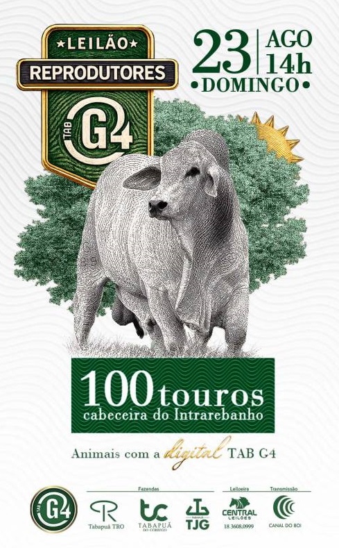 Leilão TAB G4 oferta reprodutores selecionados neste domingo às 14h no Canal do Boi