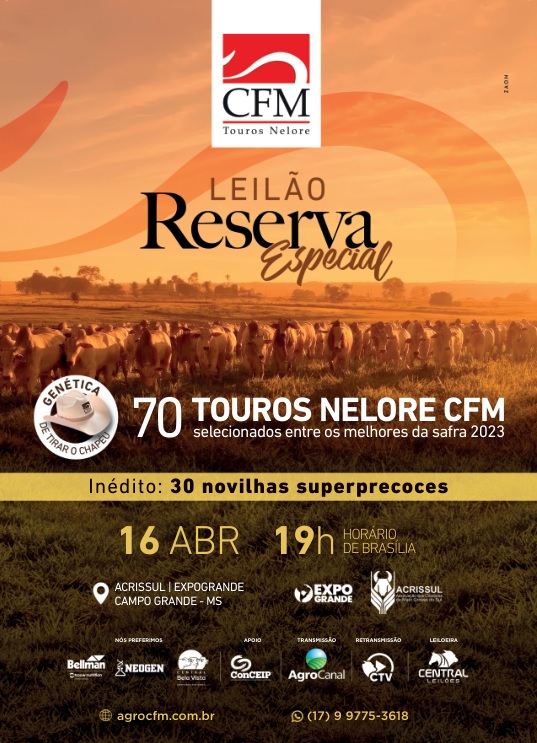 Leilão Reserva Especial CFM oferta reprodutores e novilhas superprecoces hoje no Agro Canal