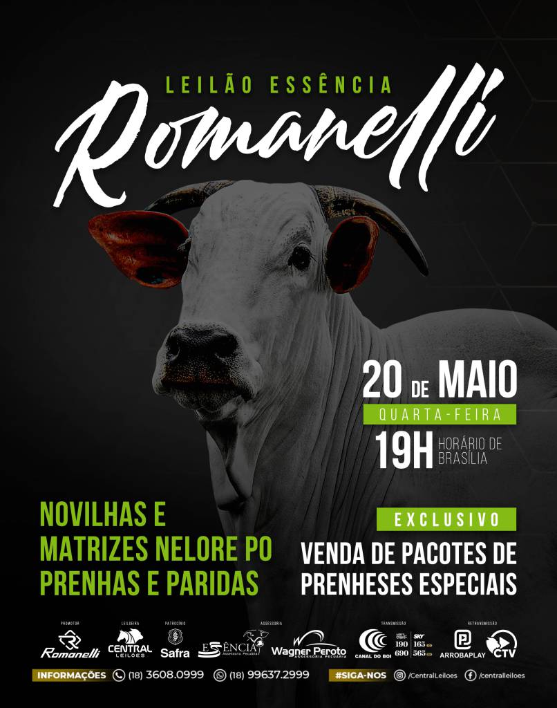 Leilão Essência Romanelli hoje às 19h no Canal do Boi