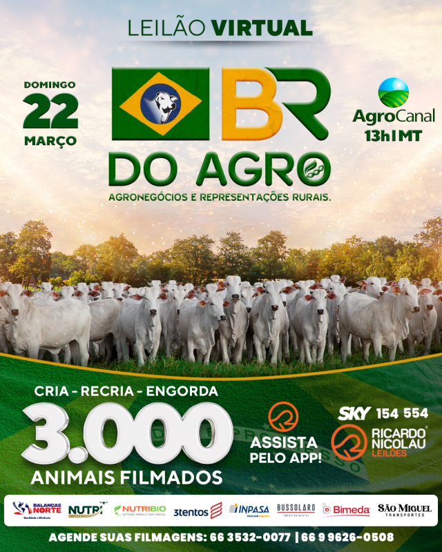 Leilão Virtual BR do Agro oferta animais de corte neste domingo no Agro Canal