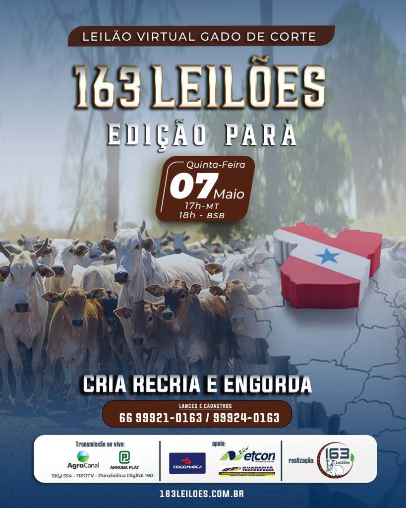 Leilão Gado de Corte do Pará hoje às 18h no Agro Canal