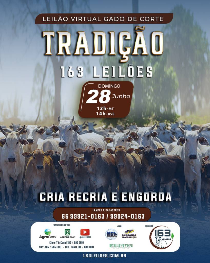 Leilão Virtual Gado de Corte Tradição oferta animais para cria, recria e engorda neste domingo
