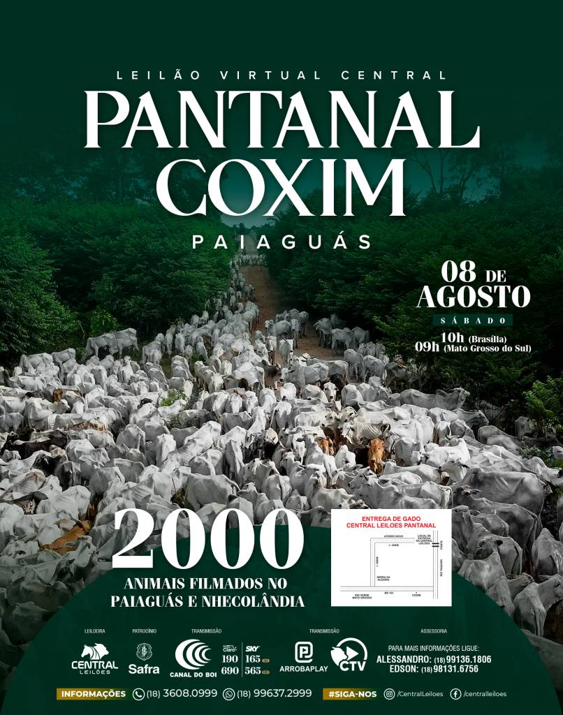 Leilão Central Pantanal Coxim oferta 2.000 animais neste sábado no Canal do Boi