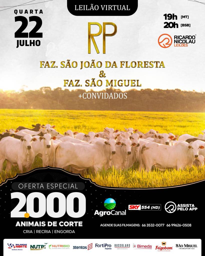 AgroCanal transmite nesta quarta-feira o Leilão Virtual RP com oferta de 2.000 animais de corte
